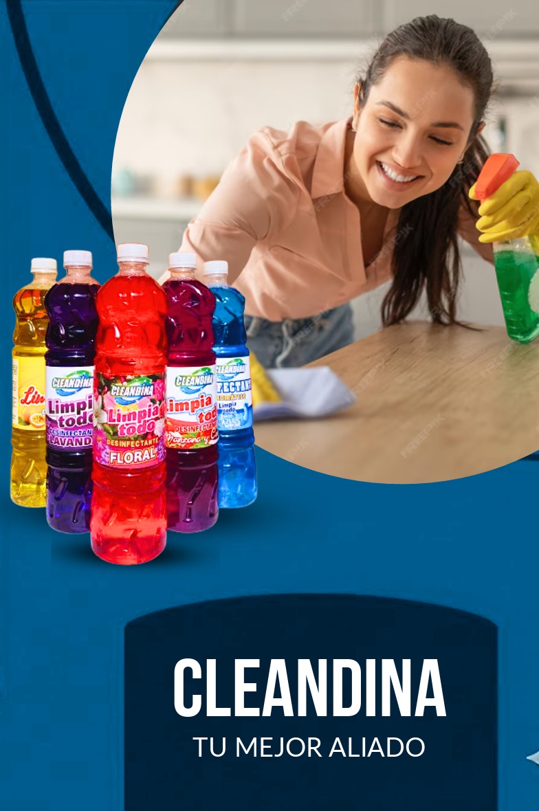 Portafolio Completo CLEANDINA